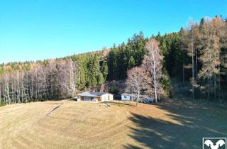 Gewerbeimmobilie kaufen in 9472 Weißenberg, Ihr Naturdomizil am Weißenberg! Umfangreiche Wald- und Wiesenflächen mit entzückendem Wohn-Ferienhaus