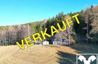 Gewerbeimmobilie kaufen in 9472 Weißenberg, Ihr Naturdomizil am Weißenberg! Umfangreiche Wald- und Wiesenflächen mit entzückendem Wohn-Ferienhaus