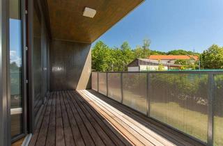 Wohnung mieten in Burgergasse, 4432 Ernsthofen, Ernsthofen – 2 Zimmerwohnung mit Loggia und Autoabstellplatz