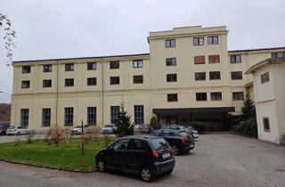 Büro zu mieten in 4810 Gmunden, Einzelbüro mit ca. 22m² im 1. OG eines historischen Gebäudes!