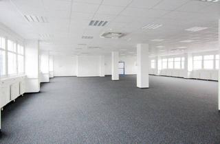 Büro zu mieten in 2351 Wiener Neudorf, Büro südlich von Wien in Wr. Neudorf
