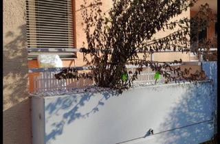 Wohnung mieten in 5400 Hallein, Helle2-Zimmer Erdgeschosswohnung mit Loggia