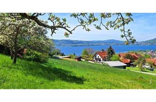 Grundstück zu kaufen in 4852 Weyregg am Attersee, Baugrundstücke in Weyregg am Attersee mit Seeblick