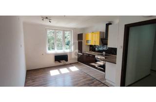 Wohnung kaufen in 1100 Wien, FÜR ANLEGER - U1 NÄHE MIT AUFZUG UND GEMEINSCHAFTSGARTEN