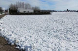 Grundstück zu kaufen in 5223 Pfaffstätt, Baugrundstück ohne Bauzwang in ruhiger Lage