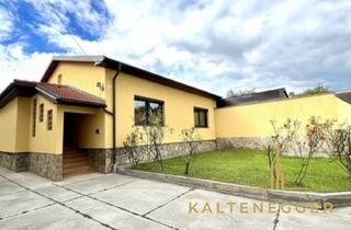 Büro zu mieten in 2331 Vösendorf, Vösendorf : Büro- und Praxisräume / Zwei sanierte Einheiten