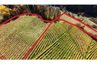 Gewerbeimmobilie kaufen in 8462 Gamlitz, Weingarten in Kranach, Gemeinde Gamlitz zu kaufen ( Zone II )