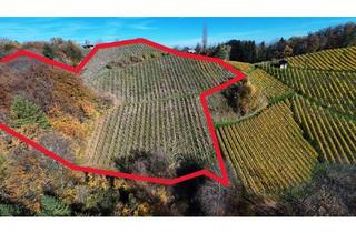 Gewerbeimmobilie kaufen in 8462 Gamlitz, Weingarten mit Landwirtschaft in Kranach, Gemeinde Gamlitz ( ZONE III )