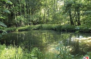 Haus kaufen in 5020 Salzburg, K3 - Chiemsee - Der Grundstein ist gelegt: Rohbauhaus zum Fertigstellen nach Ihren Vorstellungen!!!
