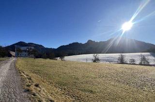 Gewerbeimmobilie kaufen in 8921 Lainbach, 26,5 ha Land- und forstwirtschaftliches Anwesen in ruhiger, sonniger Lage