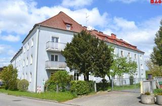 Wohnung mieten in Trimmelkamer Straße, 5120 Sankt Pantaleon, Nachmieter gesucht für helle Wohnung in Trimmelkam (5120 Sankt Pantaleon)