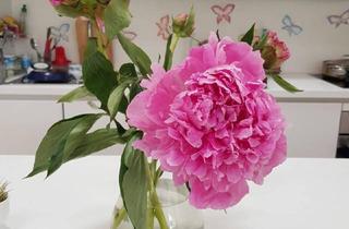 Wohnung mieten in 4820 Bad Ischl, Bestlage Bad Ischl - ruhig und ganz neu !