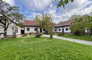 Haus mieten in 2020 Raschala, Ihr neues Zuhause zur Miete – idyllisches Einfamilienhaus mit Garten