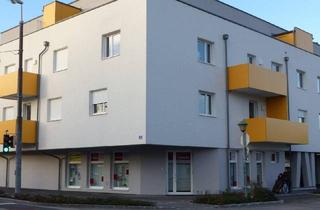 Praxen mieten in 2351 Wiener Neudorf, Heller schöner Raum als Praxis oder Behandlungsraum, auch tage- bzw. stundenweise zu vermieten