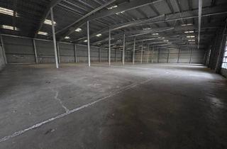 Büro zu mieten in 3100 Sankt Pölten, Beheizbare Lagerhalle