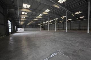 Büro zu mieten in 3100 Sankt Pölten, Beheizbare Lagerhalle