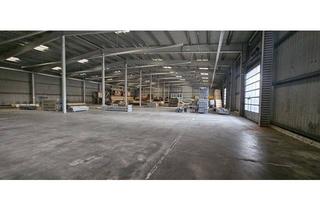 Büro zu mieten in 3100 Sankt Pölten, Freie Zufahrt: Lagerhalle Nähe Westautobahn