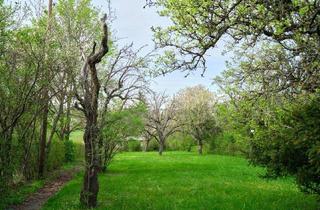 Grundstück zu kaufen in Herzogbergstraße, 2380 Perchtoldsdorf, TRAUMHAFTES GRUNDSTÜCK MIT HANGLAGE UND BLICK AUF DIE WEINBERGE