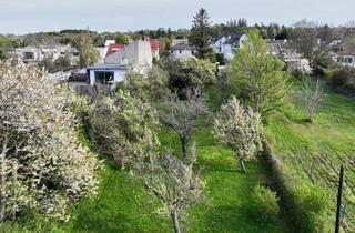 Grundstück zu kaufen in Herzogbergstraße, 2380 Perchtoldsdorf, TRAUMHAFTES GRUNDSTÜCK MIT HANGLAGE UND BLICK AUF DIE WEINBERGE