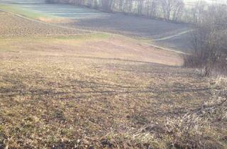 Gewerbeimmobilie kaufen in 8044 Graz, Landwirtschaftliche 19.653 m² Wiese in Graz-Mariatrost, davon ca. 6.000m² Acker VB 119.500,--