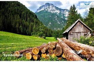 Gewerbeimmobilie kaufen in 6471 Arzl im Pitztal, Wald- und Wiesengrundstücke in Arzl im Pitztal