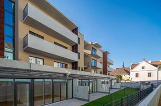 Wohnung kaufen in Mühlbachgasse 12, 3500 Krems an der Donau, Anlegerwohnung in Toplage - Neubau- befristet vermietet- Nettorendite 2,8 %