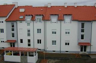 Wohnung mieten in Tulpengasse 5-9, 3442 Langenrohr, LANGENROHR II/2, freifinanzierte Mietwohnung mit Kaufoption, 8/6, 1000/00007490/00001806