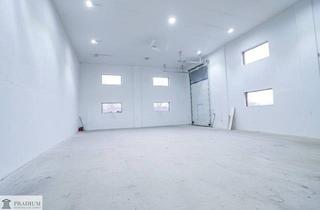 Büro zu mieten in 7053 Hornstein, Lagerhalle / GEWERBE – 1 min. A3 Auffahrt Hornstein – VIELSEITIGE EINHEITEN ZUR MIETE