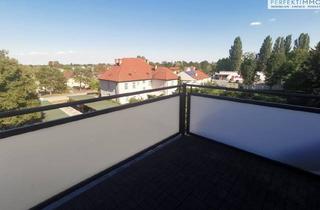 Maisonette kaufen in 2483 Ebreichsdorf, Über den Dächern von Ebreichsdorf - hell, gemütlich, ruhig