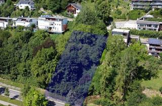 Grundstück zu kaufen in 6921 Kennelbach, Attraktives Hanggrundstück in Kennelbach zu verkaufen!