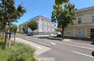 Loft kaufen in Goethestraße, 4600 Wels, Projekt GOETHE20 - 6 Altbauwohnungen und 3 Loftwohnungen in der historischen Stadtvilla Wels/Zentrum