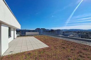 Wohnung kaufen in Bernhardigasse 5/80, 3500 Krems an der Donau, WEINZIERL XIII B - 80