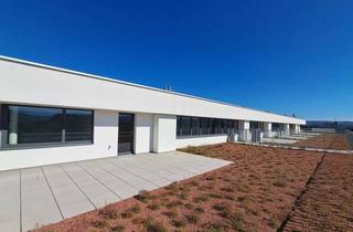 Wohnung kaufen in Bernhardigasse 5/76, 3500 Krems an der Donau, WEINZIERL XIII B - 76