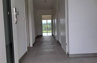 Wohnung mieten in Bahnstraße 8/1/2, 3664 Martinsberg, Bahnstraße 8/1/2