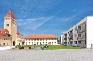 Wohnung mieten in Hainstetten 1a/1, 3322 Viehdorf, Hainstetten 1a/1