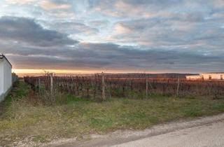 Grundstück zu kaufen in 7100 Neusiedl am See, Baugrundstück am Hirschfeldspitz