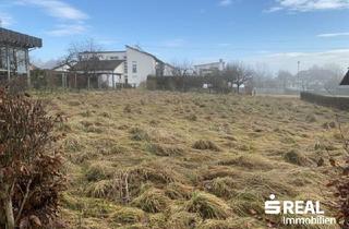 Grundstück zu kaufen in 4150 Rohrbach, Baugrund in Rohrbach-Berg