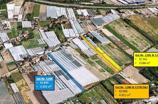 Grundstück zu kaufen in Hörtengasse, 1110 Wien, Grundstücke einzeln oder als Paket in 1110 Kaiserebersdorf