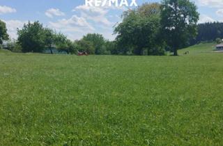 Grundstück zu kaufen in 4872 Neukirchen an der Vöckla, Baugrundstück in Neukirchen an der Vöckla