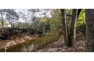 Grundstück zu kaufen in 2602 Blumau-Neurißhof, IDYLLISCHE LAGE MIT ZUGANG ZU BACHLAUF