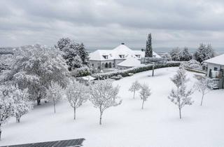Grundstück zu kaufen in 4221 Steyregg, Rarität in begehrter Ruhelage: Exklusives Baugrundstück mit Panoramablick über Linz bis zu den Alpen