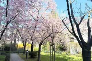 Wohnung mieten in Glanzinggasse, 1190 Wien, Grünruhelage nahe Glanzing! Perfekt geschnittene Dachterrassen-Studio-Wohnung mit optionalem Garagenplatz
