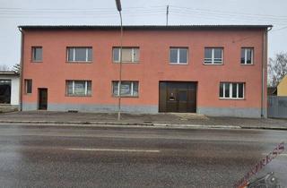 Haus kaufen in 2304 Orth an der Donau, Arbeiterwohnungen, Büros und Werkstatt auf 2335m2 Grundstück