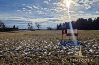 Grundstück zu kaufen in 2722 Weikersdorf am Steinfelde, Einzigartiges Grundstück mit wunderbarem Ausblick nahe zu Wiener Neustadt