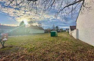 Grundstück zu kaufen in 2130 Mistelbach, Großes Grundstück ohne Bauzwang!