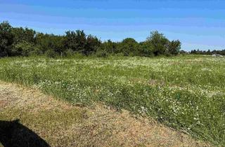 Grundstück zu kaufen in 2230 Gänserndorf, NEUER PREIS - auch für ANLEGER ideal!