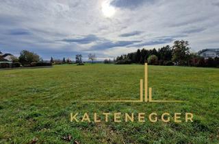 Grundstück zu kaufen in 2722 Winzendorf, Großzügiges Grundstück nahe der Hohen Wand mit Blick auf den Schneeberg