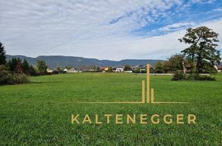 Grundstück zu kaufen in 2722 Winzendorf, 2932 m² großes Grundstück mit wunderbarem Ausblick auf den Schneeberg, nahe zu Wr. Neustadt