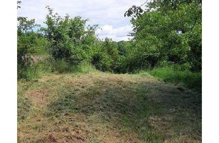 Grundstück zu kaufen in Ranch Ried Retter, 3500 Krems an der Donau, Uneinsehbares sonniges Gartengrundstück in traumhafter Ruhelage