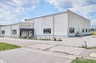 Lager mieten in 1210 Wien, Halle mit 700qm Nutzfläche und Nebenräume in 1210 Wien - ideal für Lager, Produktion und Logistik